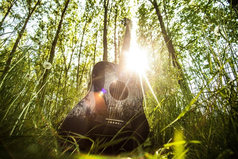 Acoustic Forest Music